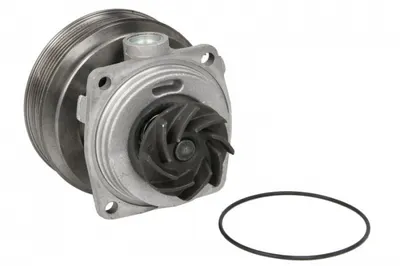 Pompa apa cu garnitura potrivit CITROEN JUMPY I; FIAT SCUDO; PEUGEOT EXPERT 1.6 10.95-12.06