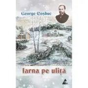 Iarna pe ulita. Poezii