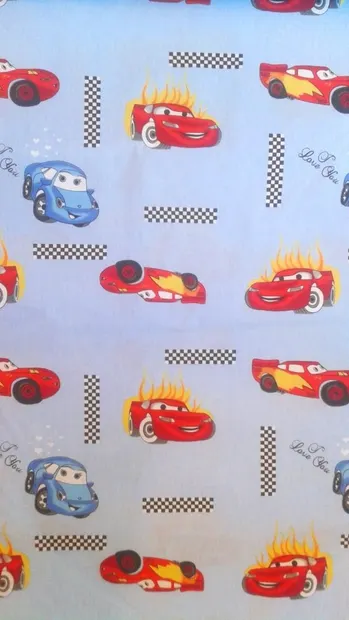Paturica de vara Junior cars