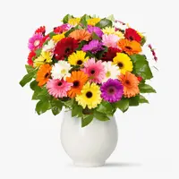 Buchet de 101 gerbera multicolore