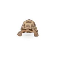 Figurina - Wild Animal Kingdom - Hermann's Tortoise