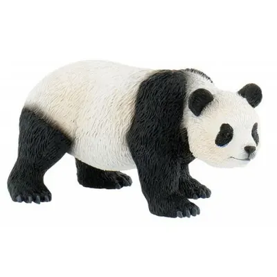 Urs panda