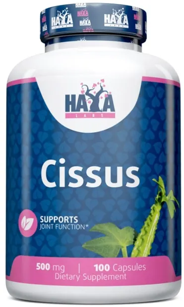 Cissus, 500 mg, 100 capsule, Haya Labs