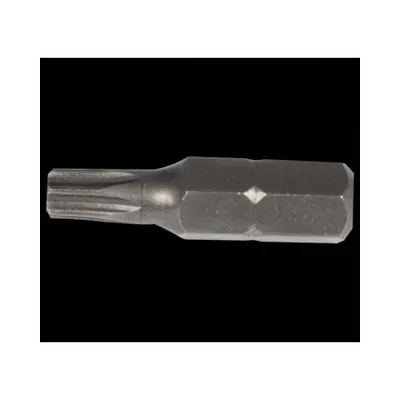 Bit T40x25mm, 2buc