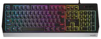 Tastatura gaming Genesis - Rhod 300, RGB, neagra