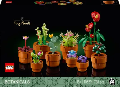 Constructor LEGO Botanical - Plante mici (10329)