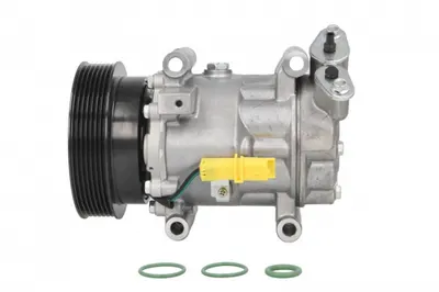 Compresor Climatizare Potrivit Nissan Cube, Juke, Micra Iii, Note, Nv200, Nv200 Evalia, Qashqai I; Renault Clio Iii, Clio Iii Hatchback, Kangoo Be Bop, Kangoo Express, Kangoo Ii 1.2-2.0 01.03