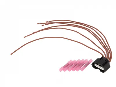 Set reparatie cabluri supapa EGR (250mm, numar pini: 6, fara capac) RENAULT LAGUNA II, MEGANE II, SCENIC II 1.9D dupa 2002