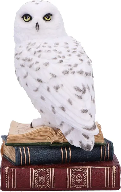 Statuetă Nemesis Now Adult: Gothic - Library of Wisdom, 17 cm