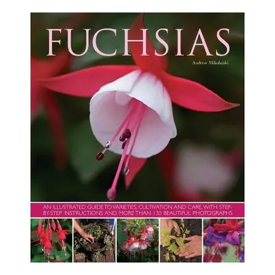 Fuchsias