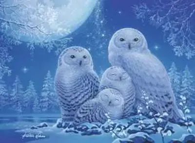 Puzzle 500 piese - Glow in the Dark - Owls in the moonlight