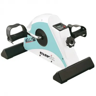 Bicicleta recuperare EVERFIT WELLY M