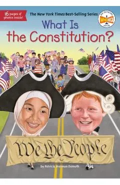 What Is the Constitution?