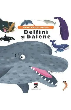 Delfini si balene
