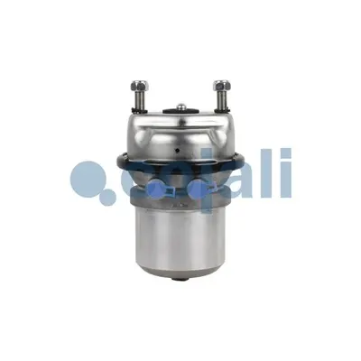 Cojali 2351314