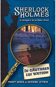In cautarea lui Watson - Sherlock Holmes si strengarii de pe Baker Street