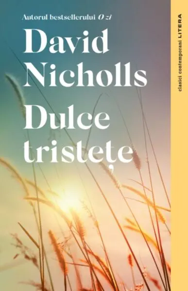 Dulce tristețe - Paperback brosat - David Nicholls