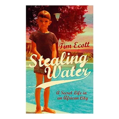 Stealing Water A Secret Life In An African City