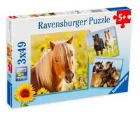 Puzzle Ravensburger din 3 x 49 de piese - Cai frumosi