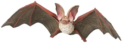 Figurina Papo Wild Animal Kingdom – Liliac