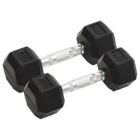 vidaXL Gantere, 2 buc., 4 kg, total fontă