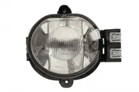 Proiector ceata Dreapta (fara ECE) potrivit DODGE RAM 1500, RAM 2500 06.01-12.09