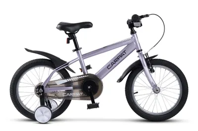 Bicicleta Copii 4-6 ani Carpat C16177A 16", MOV