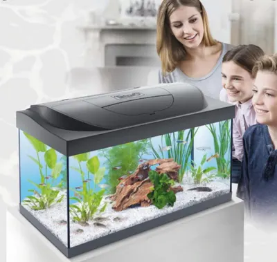 Tetra Acvariu Starter Line Led Day&amp;Night 54 L Negru