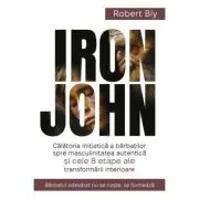 IRON JOHN. Calatoria initiatica a barbatilor spre masculinitatea autentica si cele 8 etape ale transformarii interioare