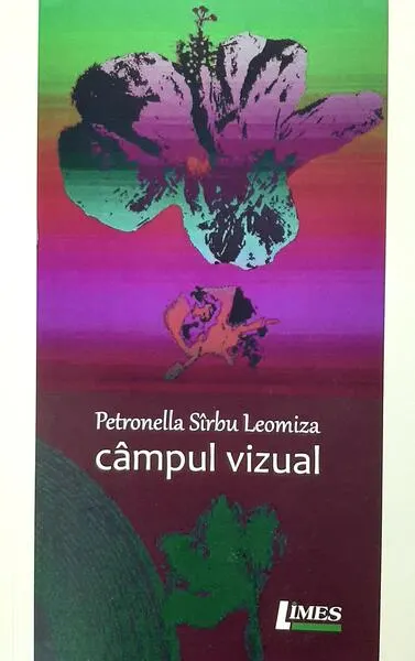 Câmpul vizual - Paperback brosat - Petronella Sîrbu Leomiza