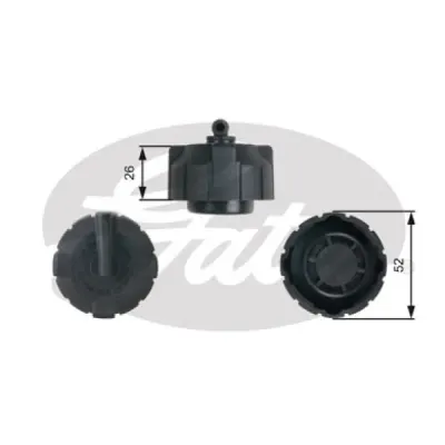Buson, vas expansiune GATES RC213