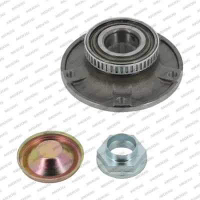 Set rulment roata MOOG BM-WB-11315