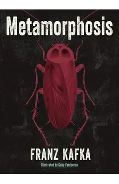 Metamorphosis: Illustrated by Gaby Verdooren