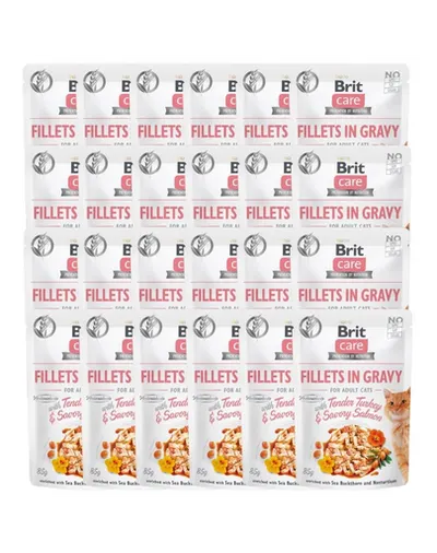 BRIT Care Fillets in gravy Hrana umeda pentru pisici adulte, cu somon si curcan in sos 24 x 85 g