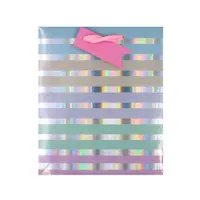 Punga Clairefontaine SDE M PASTEL STRIPES