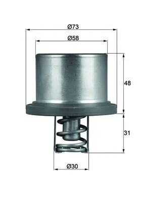Termostat lichid racire (89 C) potrivit PORSCHE CAYENNE 3.6 4.8 02.07-09.10