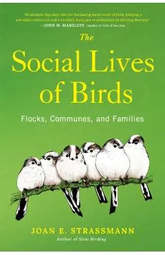 The Social Lives of Birds: Flocks, Communes, and Families