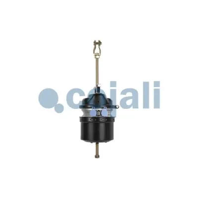 Cojali 2251502