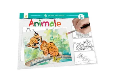 Animale - Paperback brosat