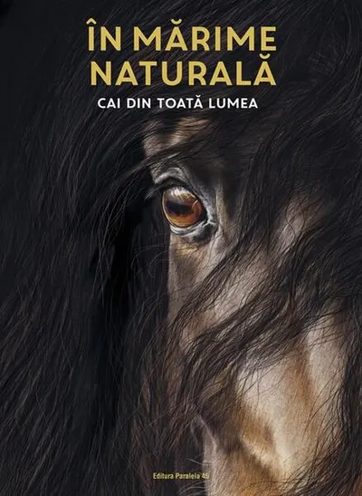 În mărime naturală. Cai din toată lumea - Hardcover
