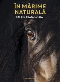 În mărime naturală. Cai din toată lumea - Hardcover