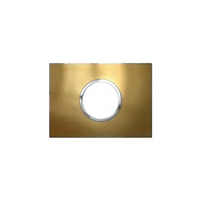 Placa Arteor - Italian / US standard - rotund - 2 module - gold brass