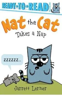 Nat the Cat Takes a Nap: Ready-To-Read Pre-Level 1