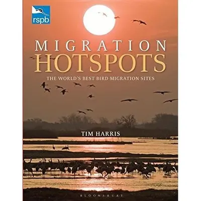 Rspb Migration Hotspots