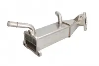 Radiator recirculare gaze esapament potrivit CITROEN JUMPER II; FORD TOURNEO CUSTOM V362, TRANSIT, TRANSIT CUSTOM V362, TRANSIT V363; PEUGEOT BOXER 2.2D 10.07-