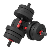 HOMCOM Set 2 Gantere cu 12 Discuri de 20 kg Total și Conector, Negru | Aosom Romania