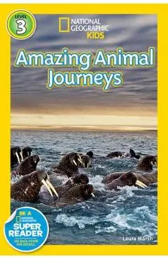 Great Migrations Amazing Animal Journeys