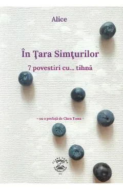 In Tara Simturilor: 7 povestiri cu tihna