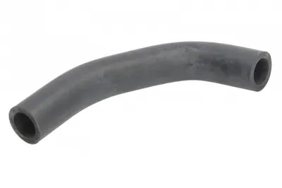 Conducta furtun sistem racire (20mm) RENAULT CLIO II, KANGOO, KANGOO EXPRESS 1.9D dupa 1999