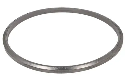 Set garnituri sistem esapament (307,3x307,3x13,9mm) potrivit SCANIA G; P; R potrivit SCANIA G I, P I, R I, T DC09.108-OSC11.03 01.03-05.19